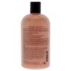 Melon Daiquiri Shampoo, Bath and Shower Gel by Philosophy for Unisex - 16 oz Shower Gel